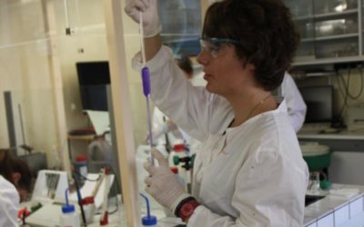 Des séminaires de recherche